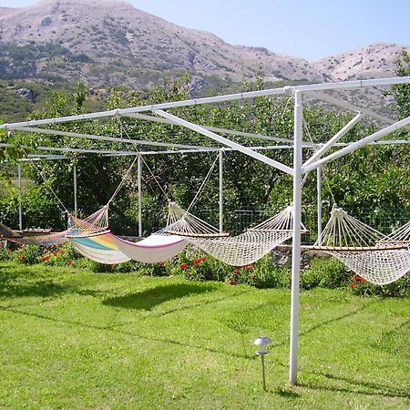 Guest House Darinka Draga Bašćanska Kültér fotó