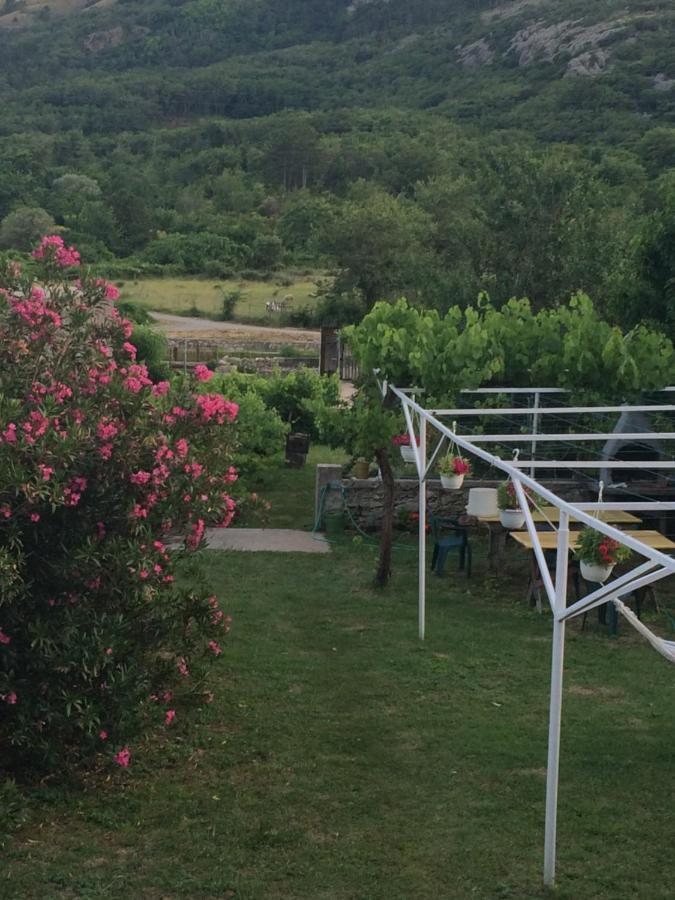 Guest House Darinka Draga Bašćanska Kültér fotó