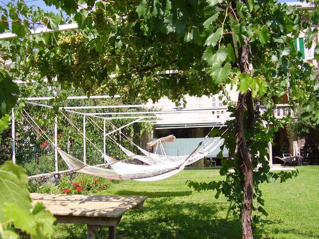 Guest House Darinka Draga Bašćanska Kültér fotó