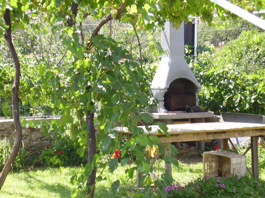 Guest House Darinka Draga Bašćanska Kültér fotó