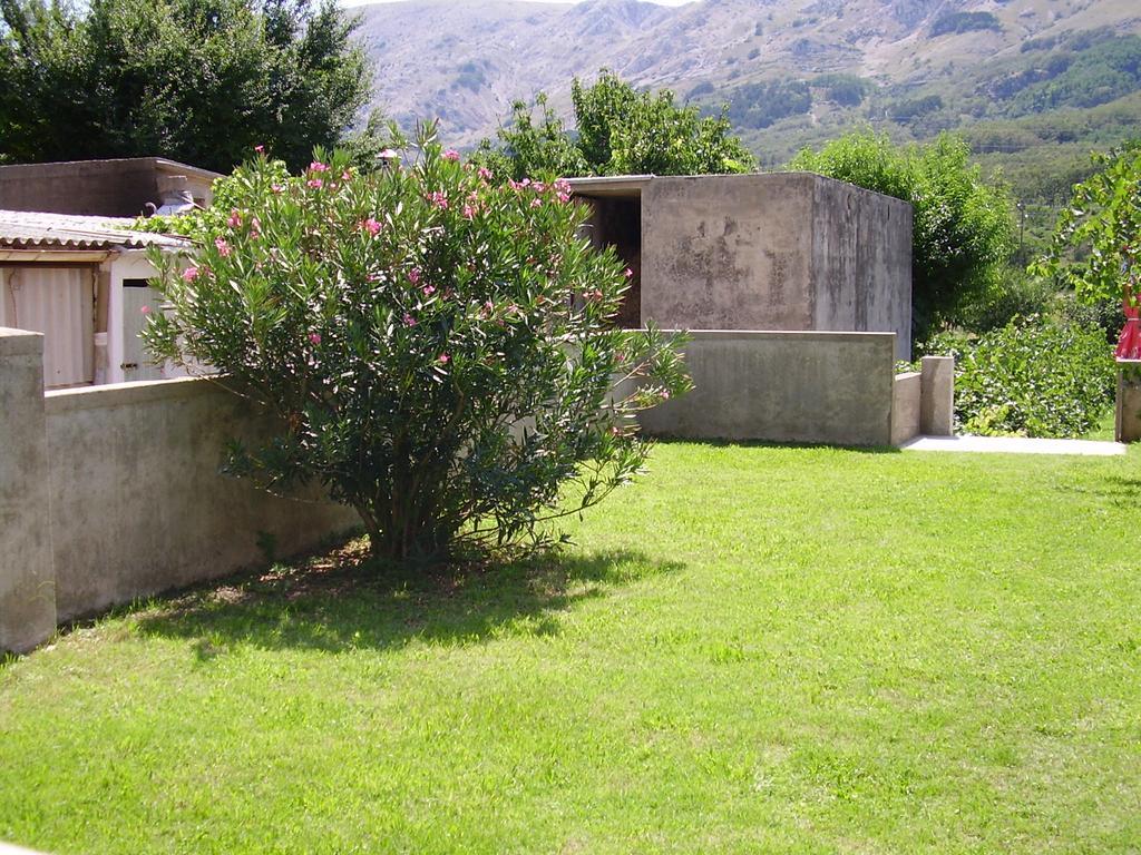 Guest House Darinka Draga Bašćanska Kültér fotó