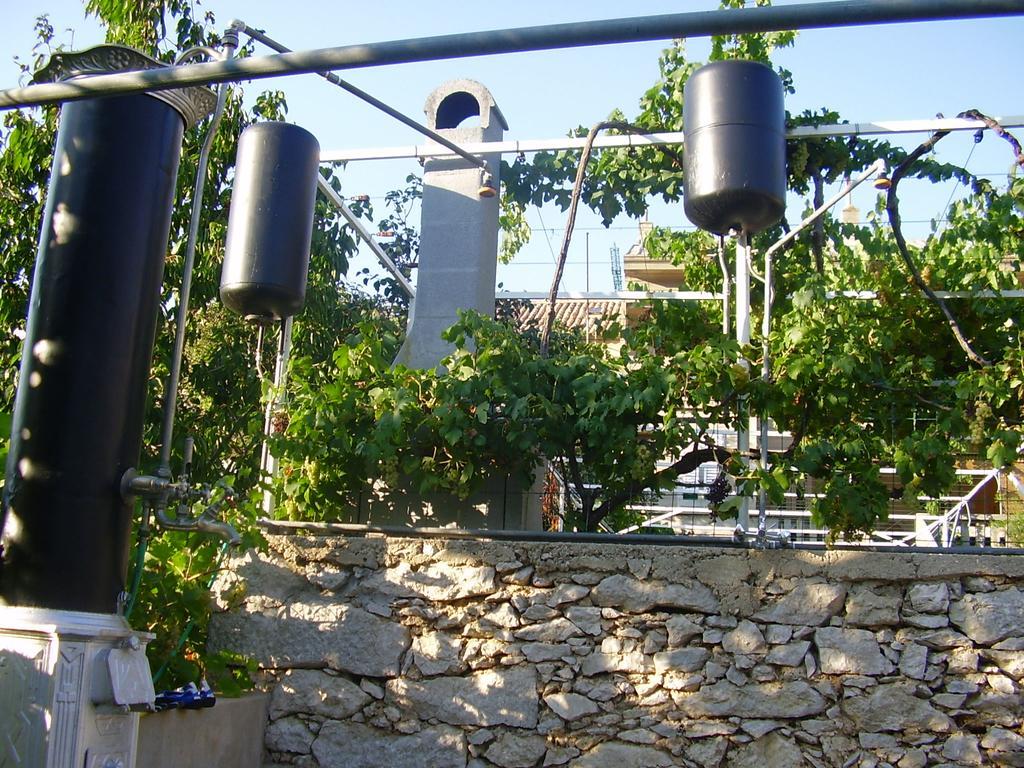 Guest House Darinka Draga Bašćanska Kültér fotó